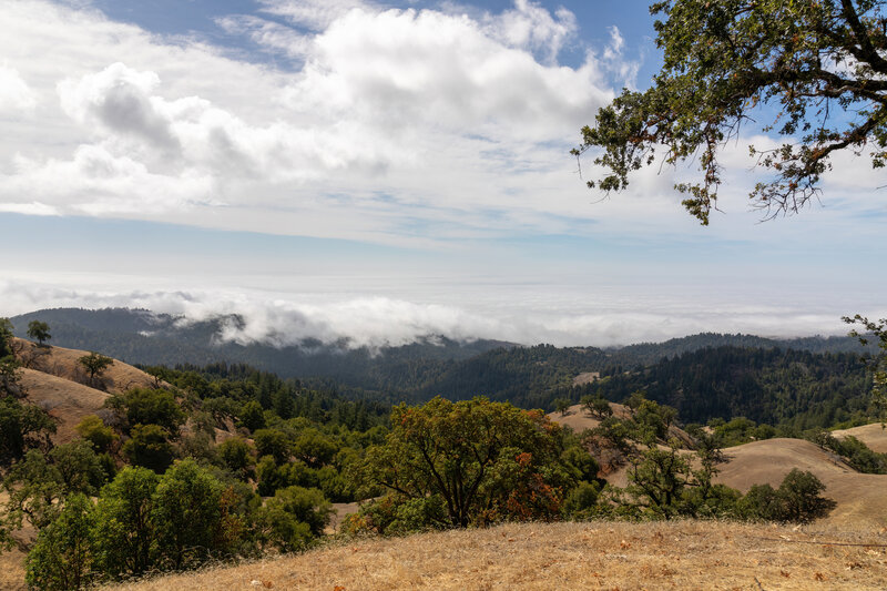 Looking south from Pole Mountain