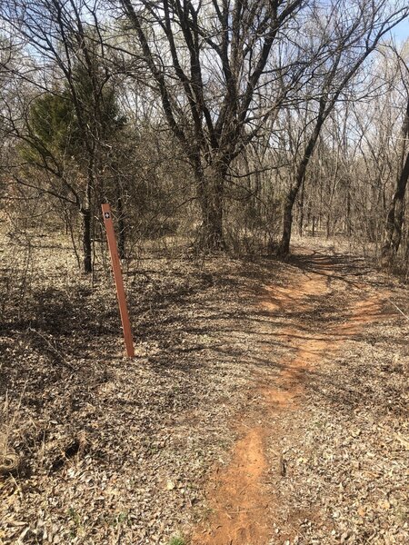 Typical view on Walker Creek Trail.