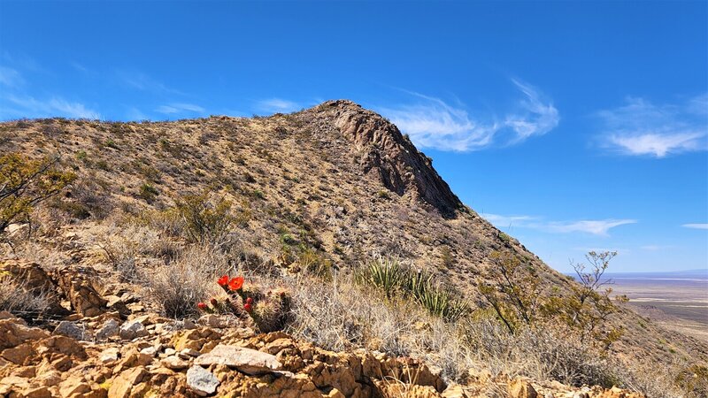 View from the trail