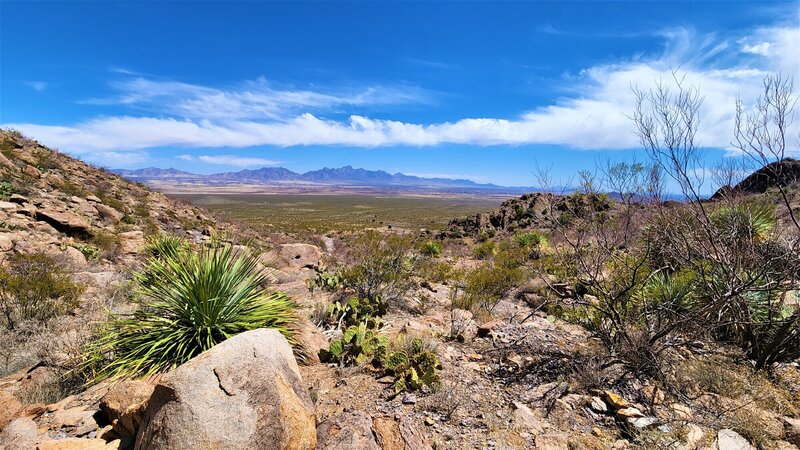 View from the trail