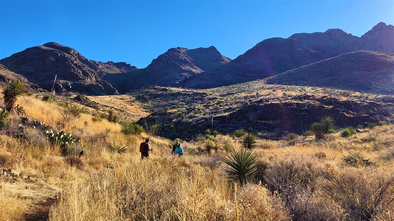 View from the trail