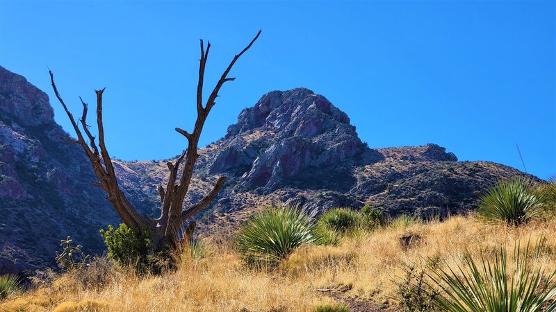 View from the trail