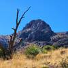 View from the trail