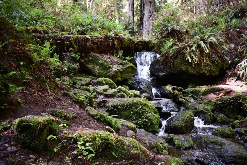 Trillium Falls