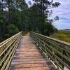 Bridges are provided over the waterways. Interesting animal tracks can be seen from above.