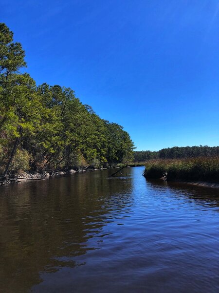 Awendaw Creek view from the canoe launch dock