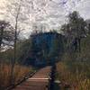 Osprey loop trailhead begins behind the Interpretive Center. This is looking back at the Interpretive Center.