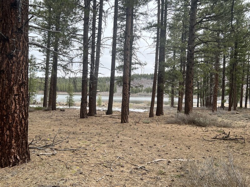 Lake Ella at the end of the trail.