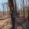 Trails Clearly marked at trailhead