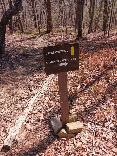 Champion Trail splits off Preserve Trail