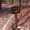 Champion Trail splits off Preserve Trail