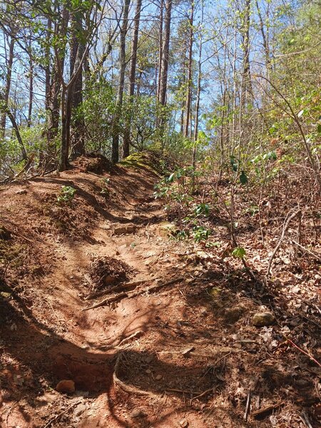 Western section of trail near the bottom is well eroded and steep.