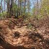 Western section of trail near the bottom is well eroded and steep.