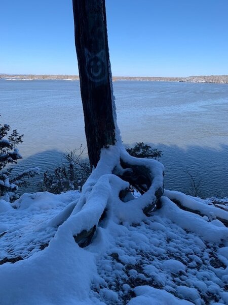 This was taken 3-12-22 on the Cadron Settlement Trail. It had snowed the night before. It was a beautiful hike.