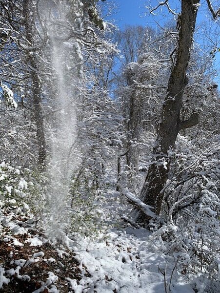 This was taken 3-12-22 on the Cadron Settlement Trail. It had snowed the night before. It was a beautiful hike.