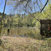 Beaver Pond photo blind in the Clyde Shepherd Nature Preserve