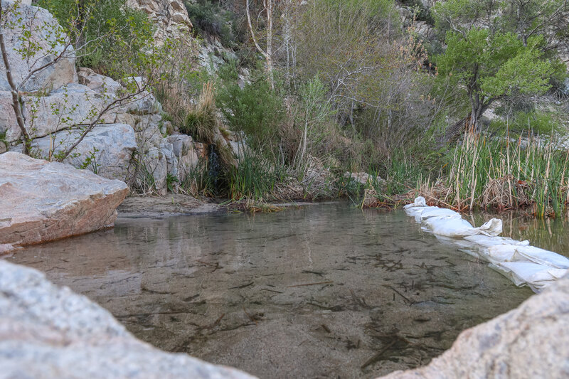 One of the warm soaking pools, set just beside the creek's edge.