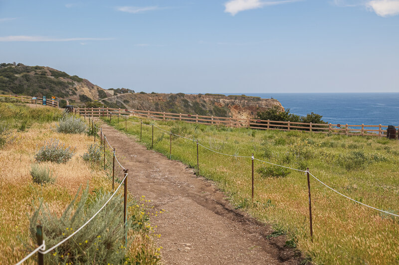 Abalone Cove Shoreline Park has several short trails on its clifftop promontory, though visitors heading to the east end of the park can find the trail accessing the beaches and shoreline below.