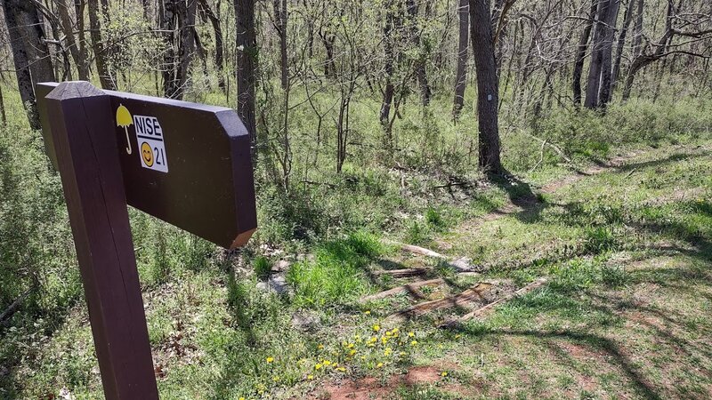 A view of the trailhead from Skyline Drive.