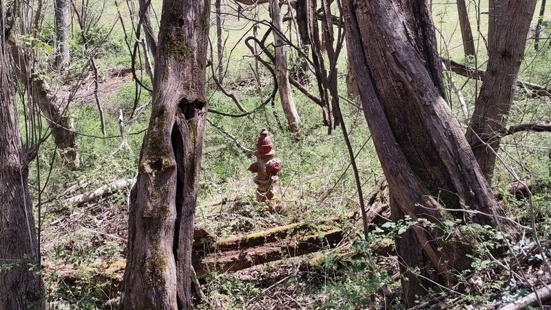 Fire Hydrant near the old ranger quarters.