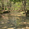 Bridge connecting the Big Woods trail to the Lakeside Trail