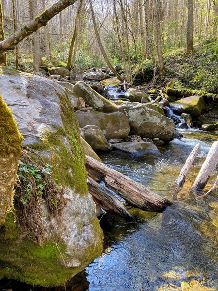 Deep, clear pools along the creek