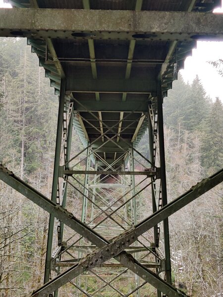 Below OR-6 bridge on Storey Burn Trail.