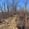 Topside. Between Tellico Gap and NOC. Great views once you get here and flat for a bit.