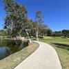 Pathway between the lake and grass.