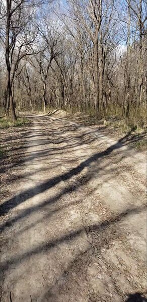 The first mile or so of the trail.