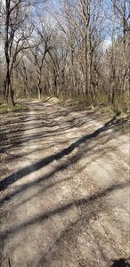 The first mile or so of the trail.