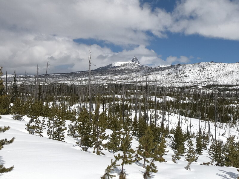 3-Fingered Jack from North Blowout shelter (4-22-2022)