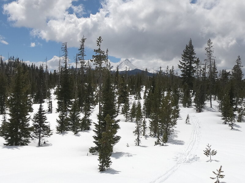 Mt. Washington from trail