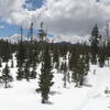 Mt. Washington from trail