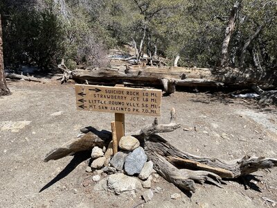 Deer Springs Trail / Suicide Rock Trail junction
