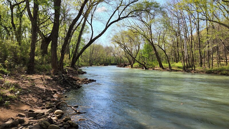 Buffalo River near Erbie Campground.