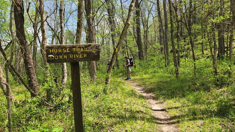 Old River Trail near entrance of Camp Orr