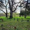 Cherry Grove Cemetery