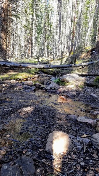 Sitting by the side of the creek.