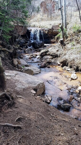 Near Manitou on Intemann Trail