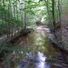 Looking down stream.