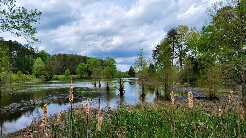 View from the trail