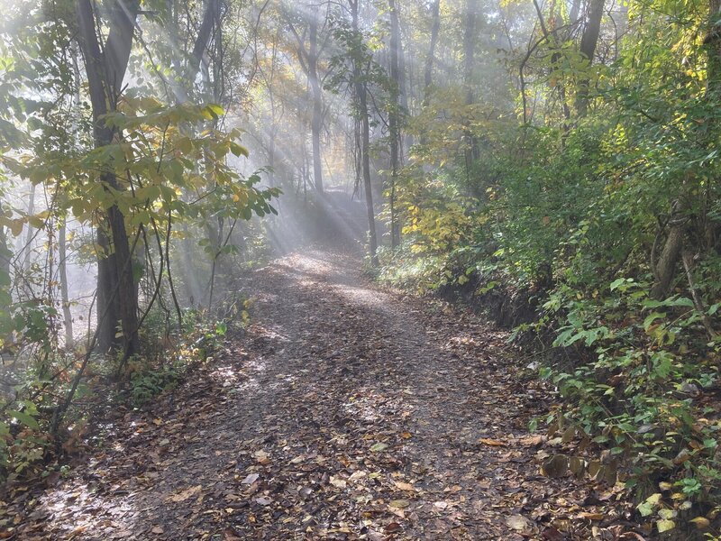 Looking south on the Crushed Limestone Trail