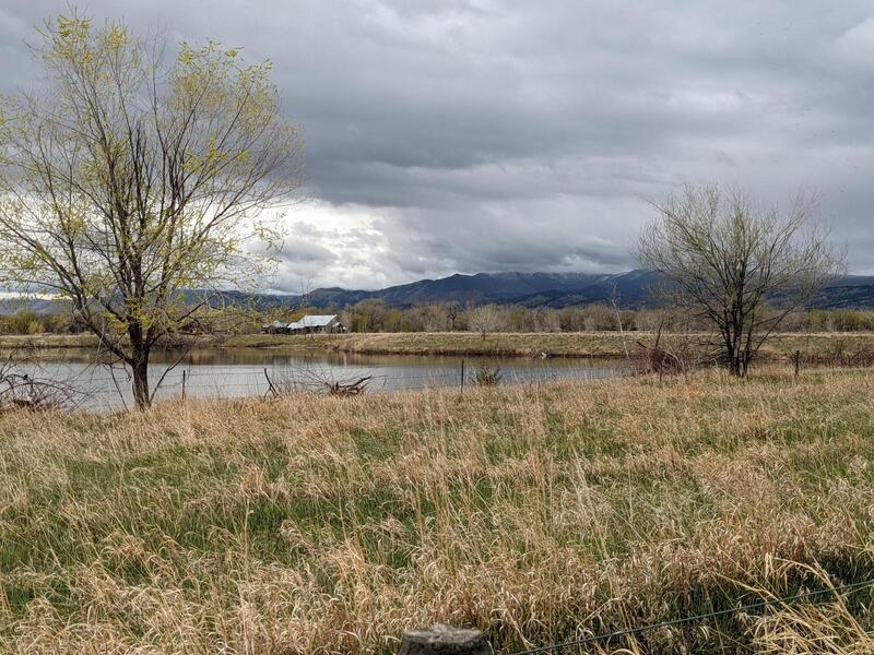 Overlook of one of the ponds.