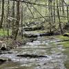 One of several stream crossings.