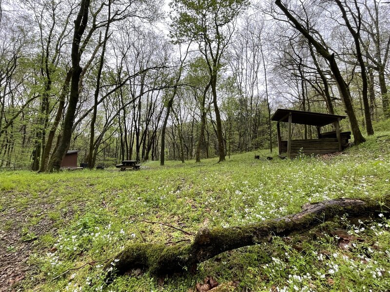 Primitive campsite with outhouse, spring house, and fire pit.