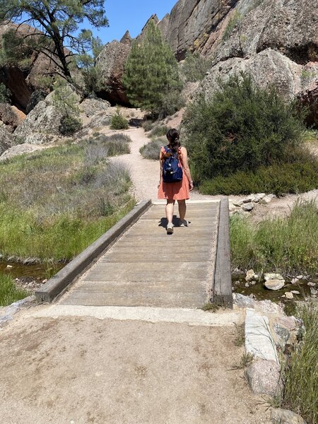 Starting the hike to Balconies Cave. Our visit was at the end of April, wildflowers were in bloom and the grass was green and pretty against the rocks.