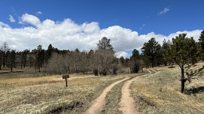 The trail follows a road passing on the North side of a spring.