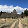 The trail follows a road passing on the North side of a spring.