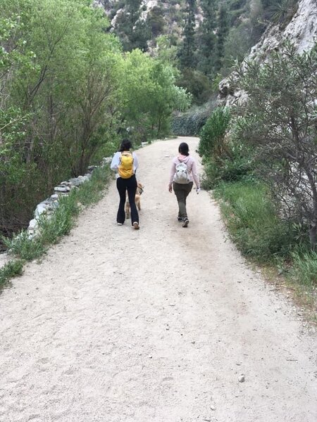 Hiking Trail Canyon Falls with the pup.